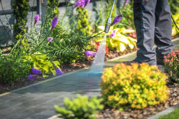 Best Restaurant Pressure Washing  in Highland, IN