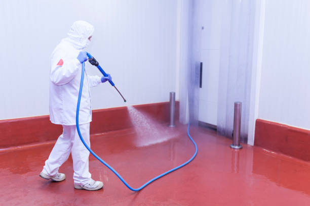 Best Driveway Pressure Washing  in Highland, IN